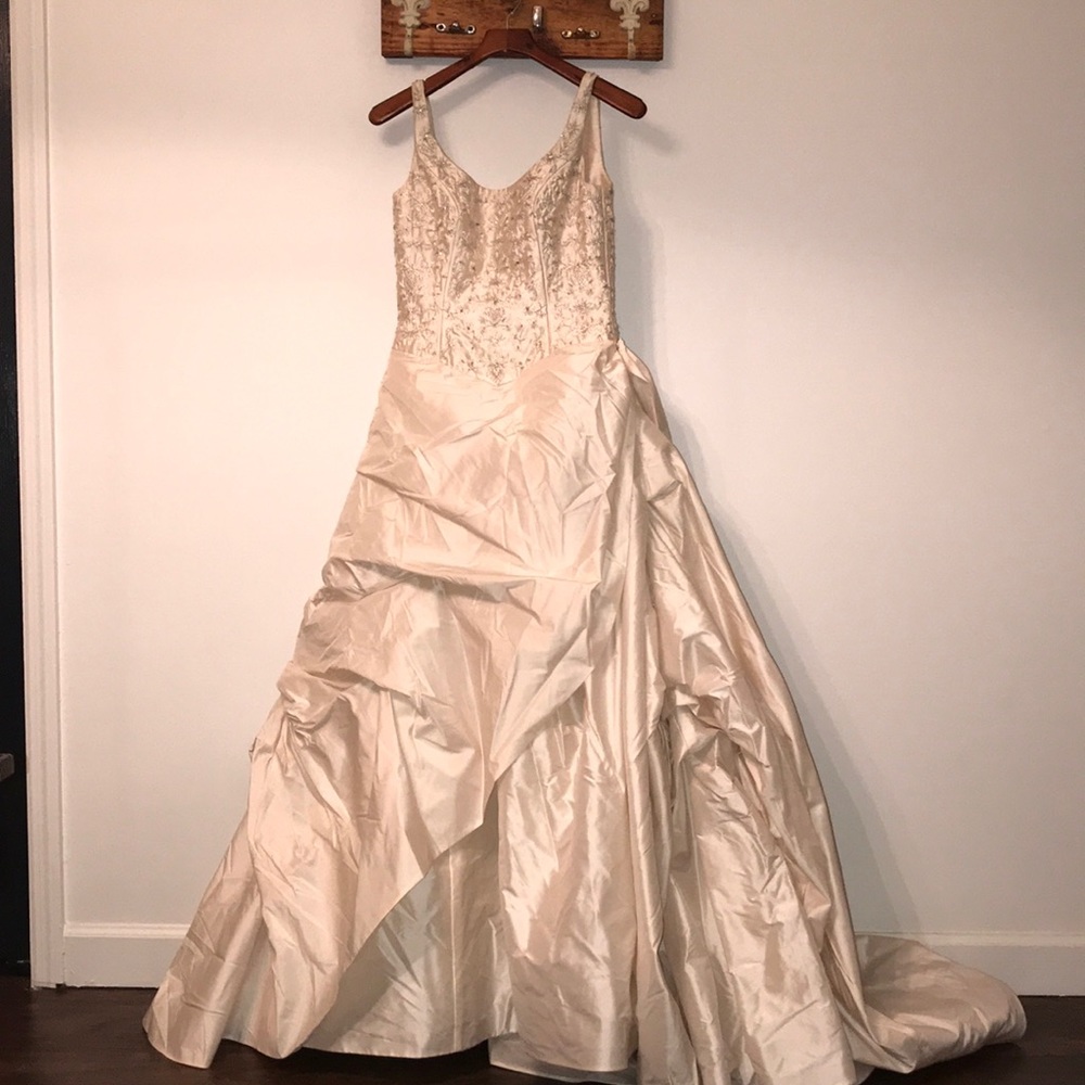 Anne Barge | Full Gown in Blush | Silk | Size 10